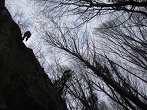 Terihaja_pri_Samoboru_7.4.2013_07.JPG