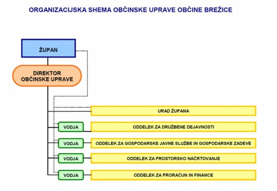 organizacijska-shema-občinske-uprave.jpg