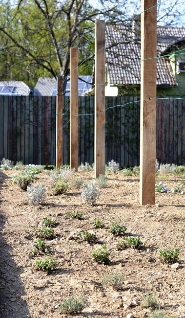 Urejanja krožišča 8 - Spodnja Pohanca 2