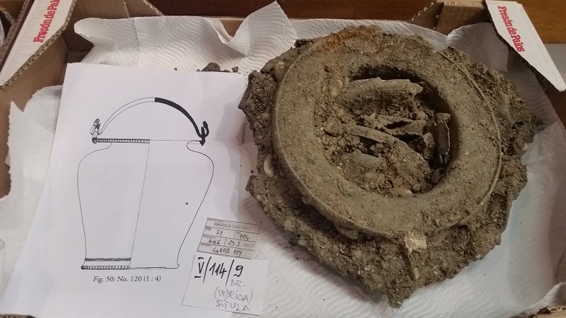 Izjemna najdba - obredno uničena bronasta etruščanska posoda v grobu keltskega bojevnika