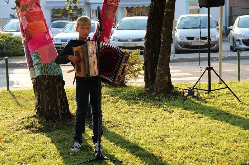 Brežice Rožnati oktober  7