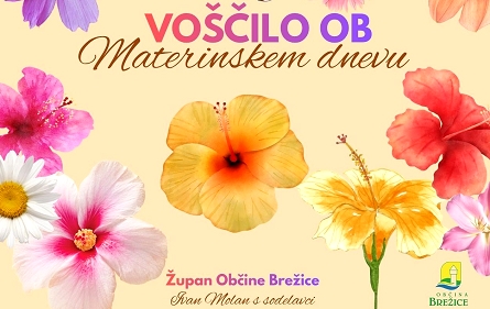 Materinski_dan_vo____ilo_spletna.jpg