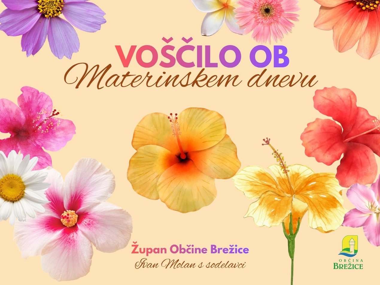Materinski_dan_vo____ilo_spletna.jpg